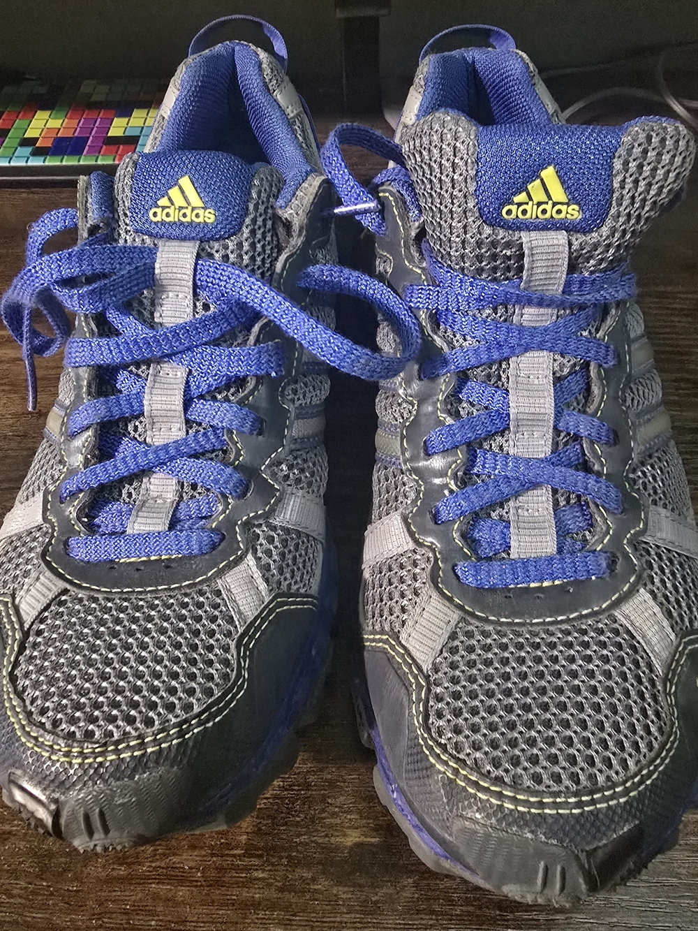 adidas Women's Hiking Grey and Blue Mesh Athletic Sneakers